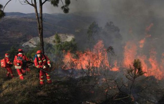 云南玉溪森林火災(zāi)燒到昆明境內(nèi) 14集團軍救援