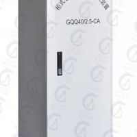 宸安消防設備七氟丙烷自動氣體滅火柜式無管網(wǎng)GQQ40/2.5