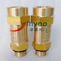 SFA-22C300T1中央空調安全閥